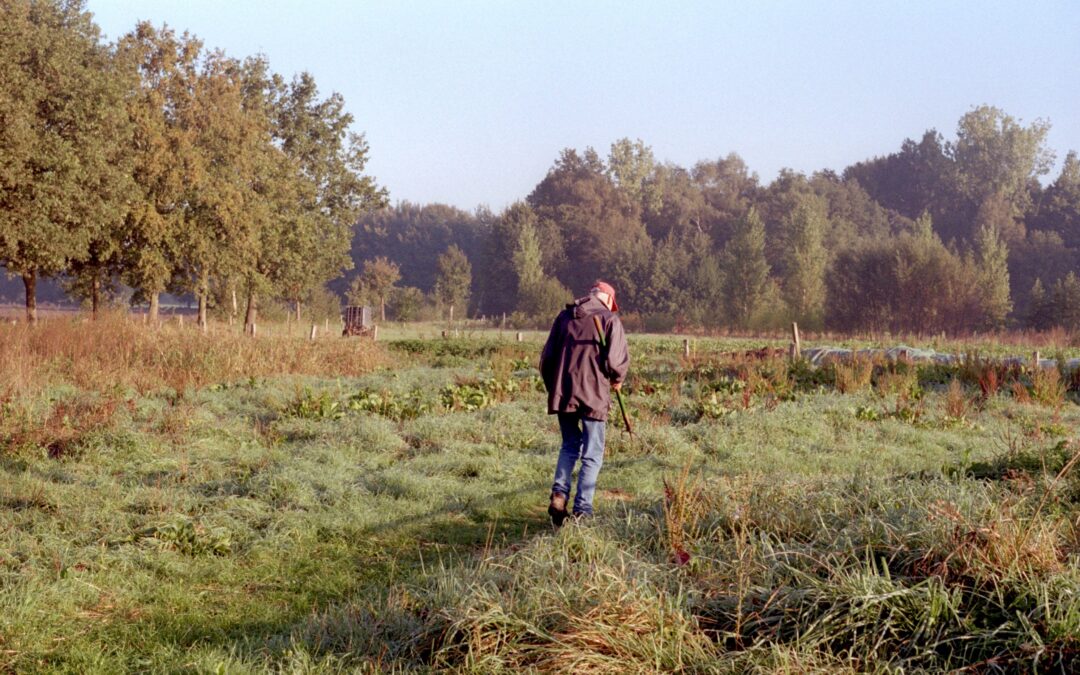 DAG VAN DE STILTE — Stilteworkshop ‘Ik draag rust in mij’