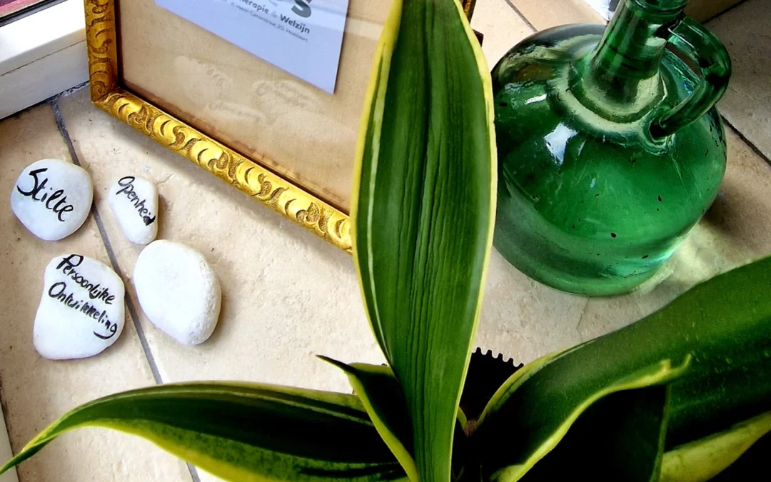 DAG VAN DE STILTE — Workshop ‘Druk op de pauzeknop’