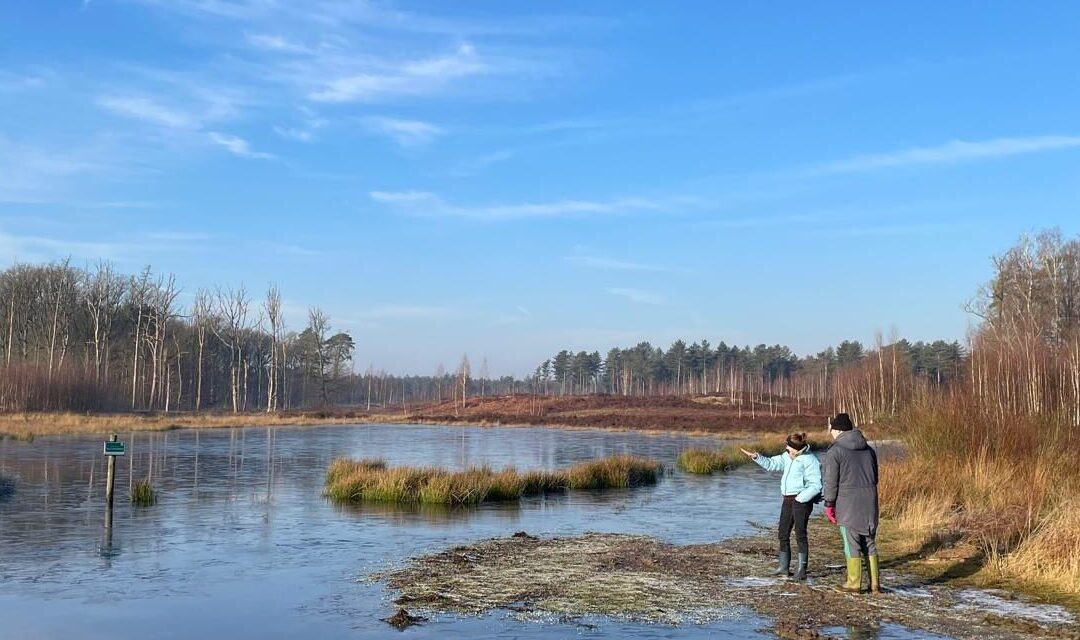 DAG VAN DE STILTE — Een dag in stilte op de Bierhoeve