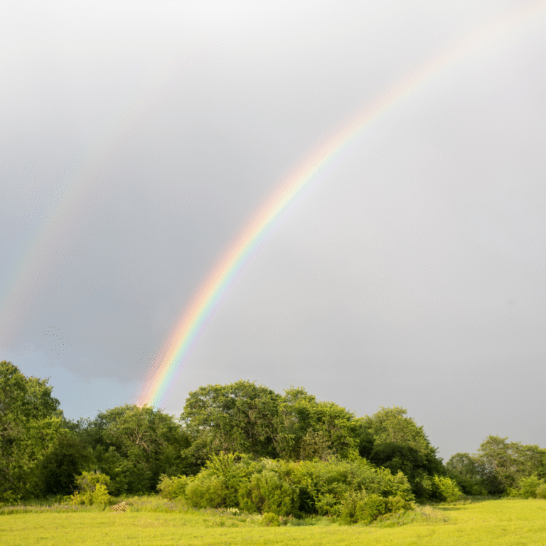 ben jij onze nieuwe bestuurder?