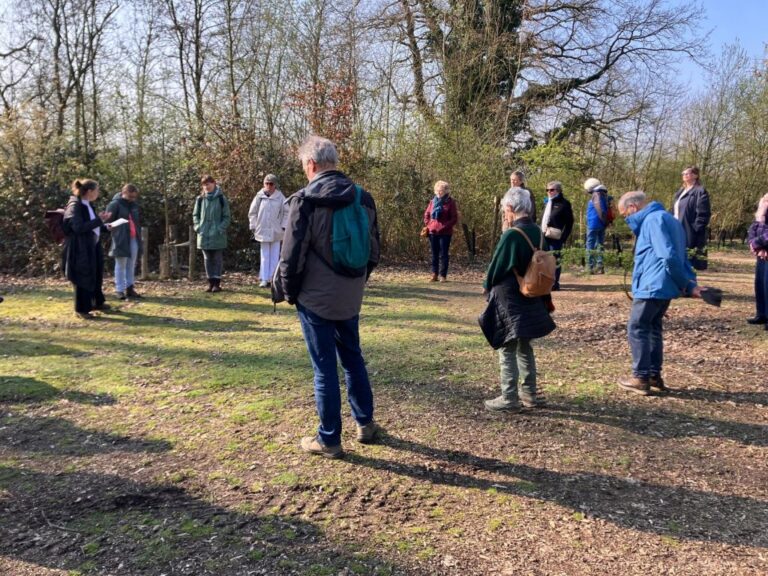 stilte als commons | verkenning stilteplekken in leuven