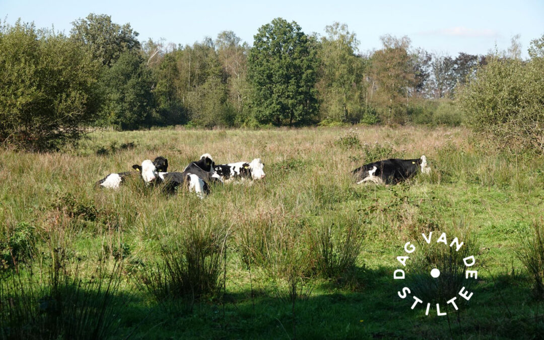 DAG VAN DE STILTE • Gedichtenwandeling – stilte in natuur en woorden