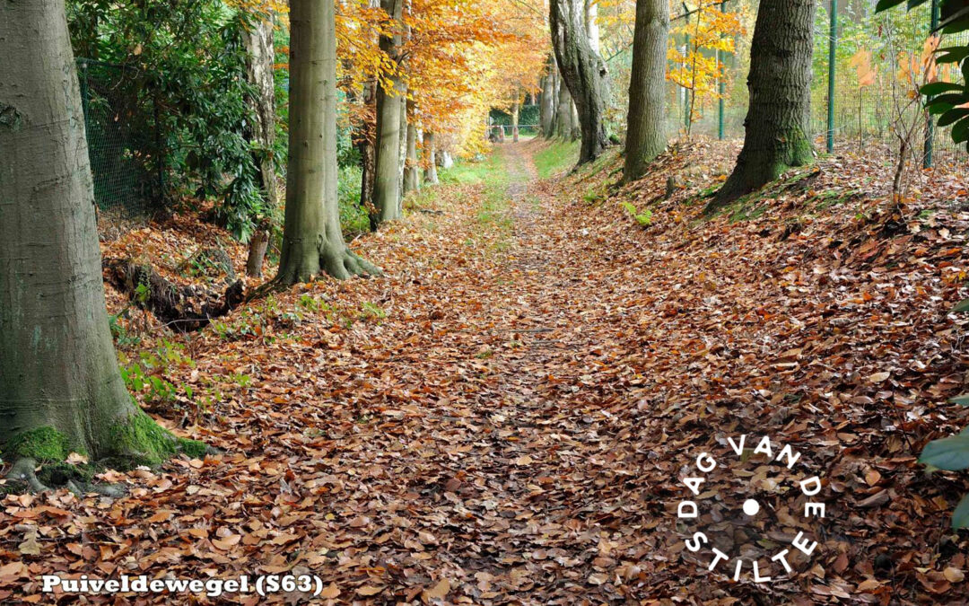 DAG VAN DE STILTE •  Stiltewandeling langs de trage wegen van Belsele