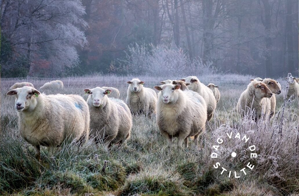DAG VAN DE STILTE • Sssst! Stilte versterken – workshop