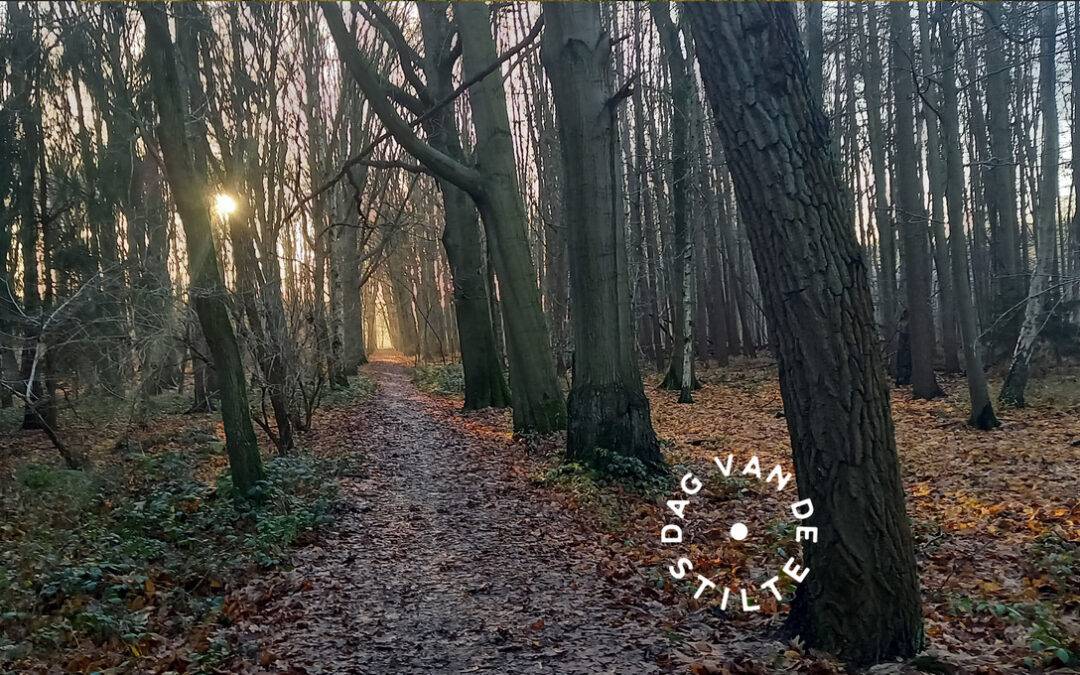 DAG VAN DE STILTE • Stiltewandeling