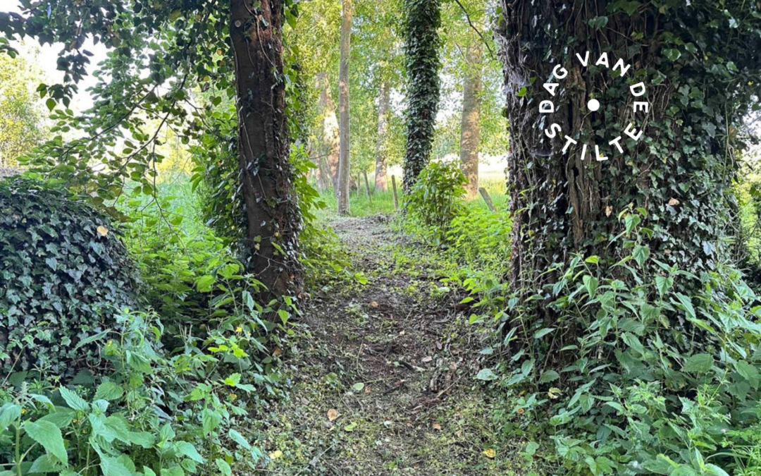 DAG VAN DE STILTE • Feestelijke inwandeling van het Waerbeekpad