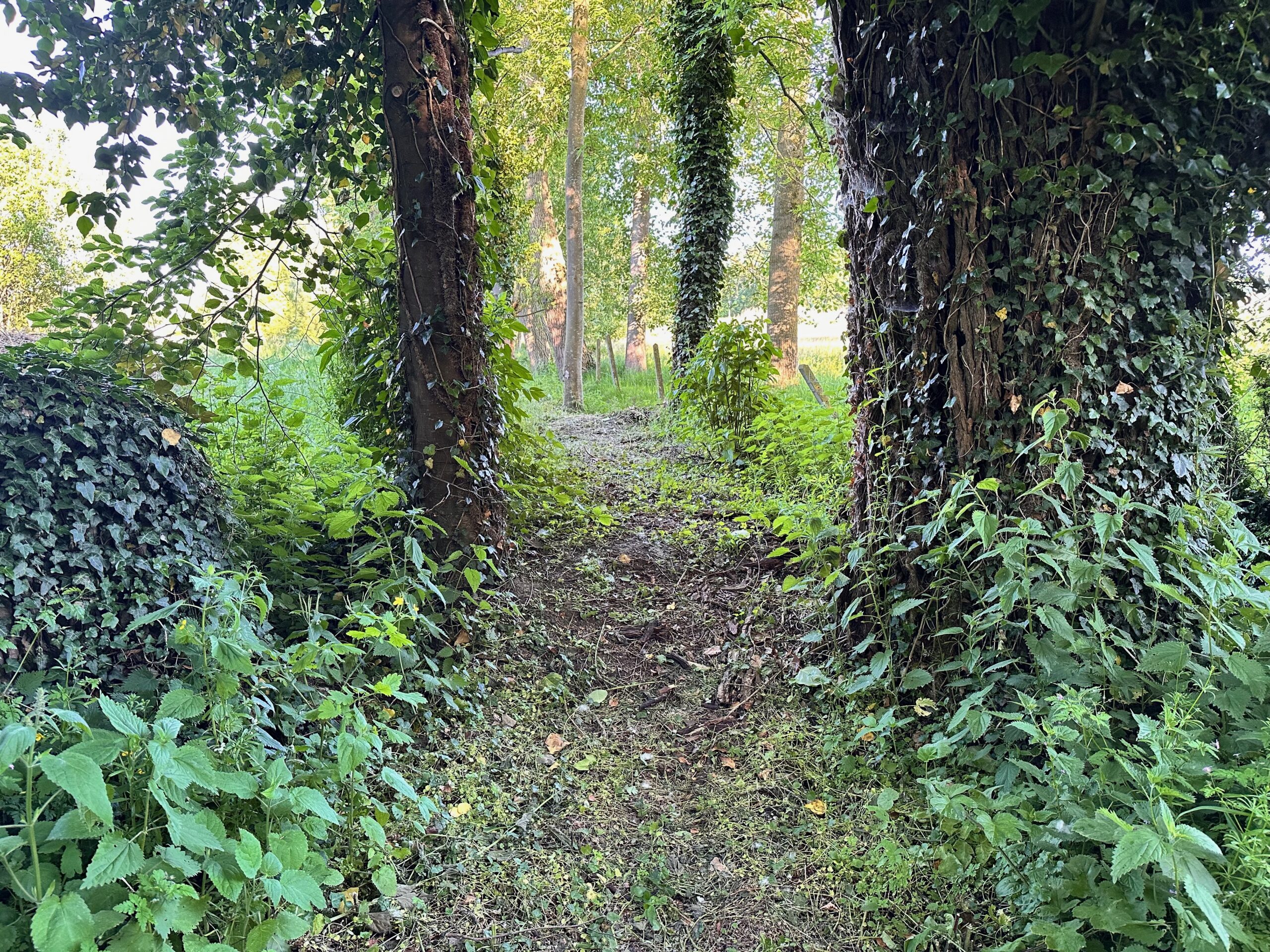 DAG VAN DE TRAGE WEG 2026 • Inwandeling Waerbeekpad