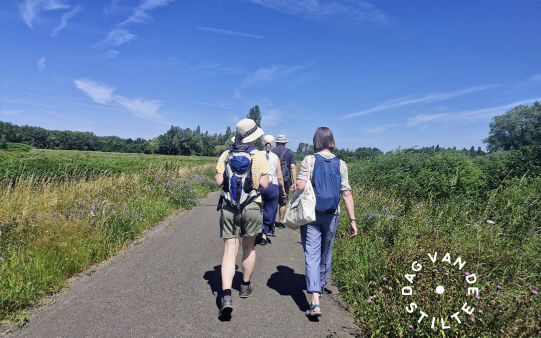 DAG VAN DE STILTE •  Diepe Tijd Wandeling in het Meerdaalwoud