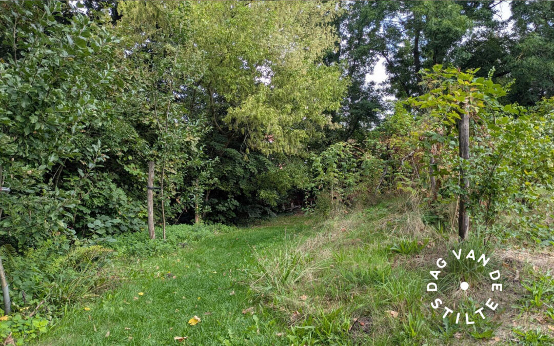 DAG VAN DE STILTE •  Bosbaden in het Voedselbos van de Hoop