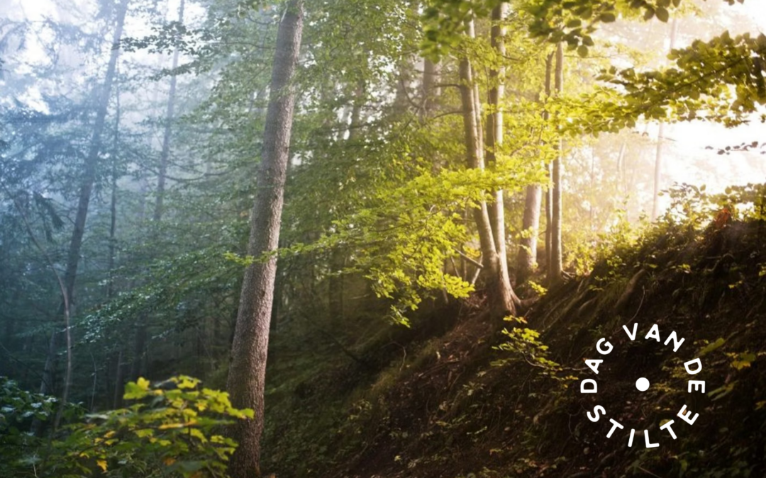 DAG VAN DE STILTE • Natuur beleven in de stilte van het bos