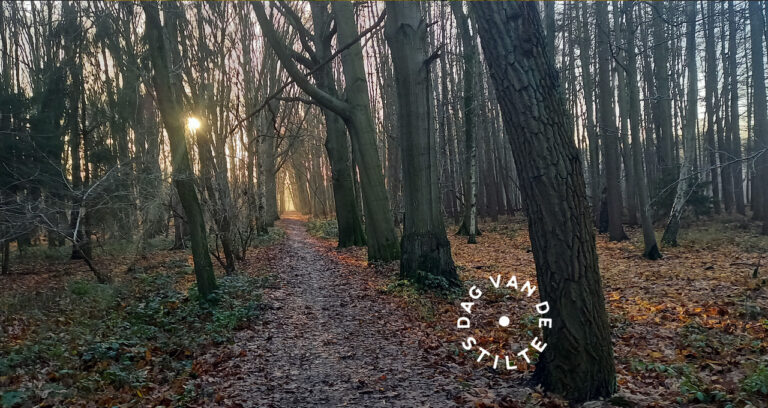 Stiltewandeling in Opwijk | DAG VAN DE STILTE