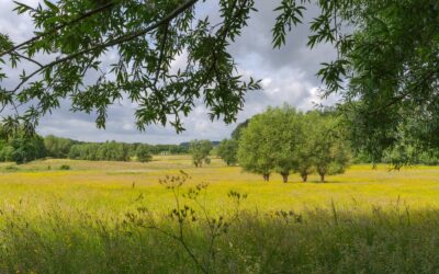 Wandelen in het landschap van Meister Eckhart